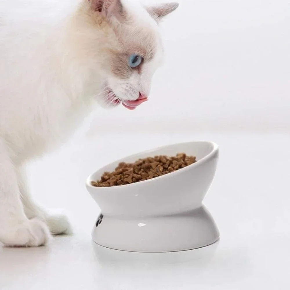 Cat Bowl Anti Vomiting, Raised Cat Food Bowls, Tilted Elevated Cat Bowl